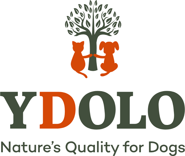 Logo marki YDOLO