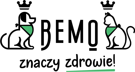 Logo marki Bemo
